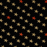 Paintbrush Studios Fabric -Defenders of Freedom