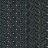 Moda Fabrics - Hope Blooms M9673-18