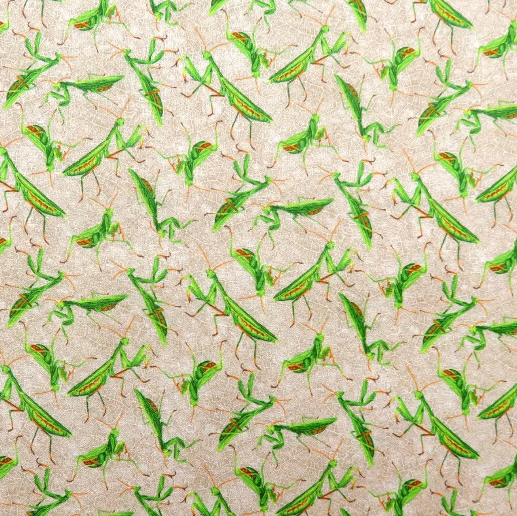 FROLICKING FIELD PRAYING MANTIS - 12015711