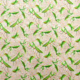 FROLICKING FIELD PRAYING MANTIS - 12015711