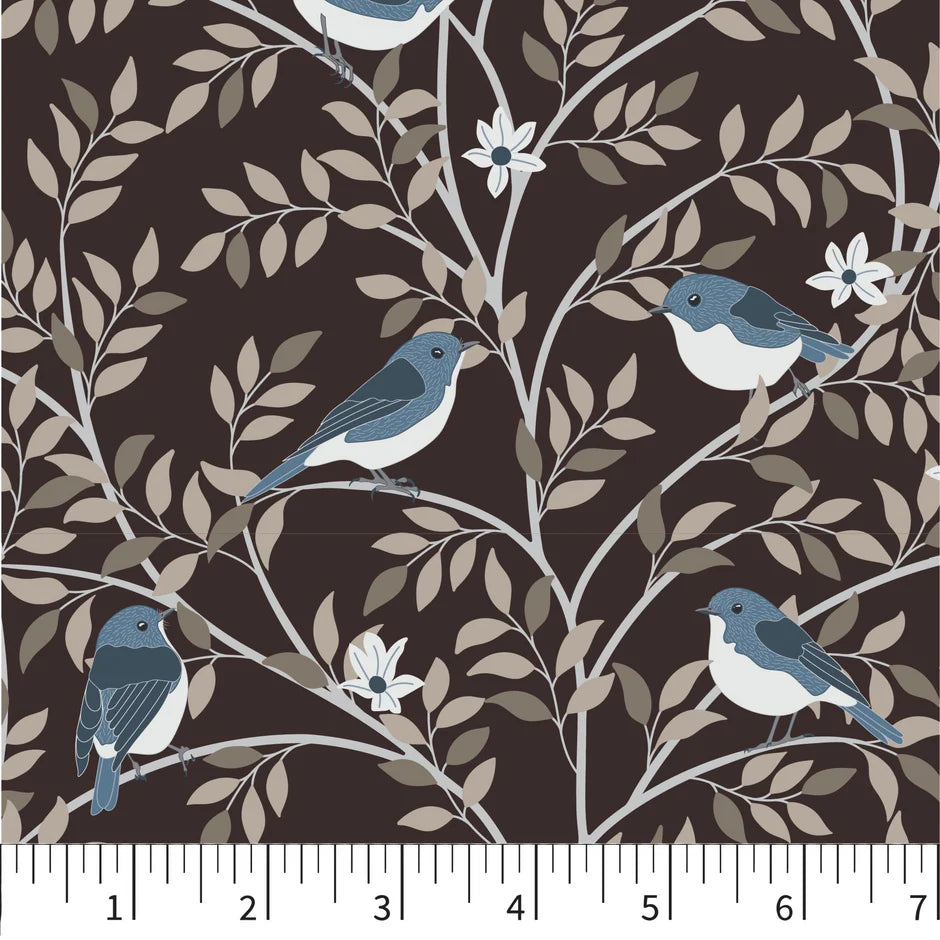 A Month Of Sundays PH0441 Serenade