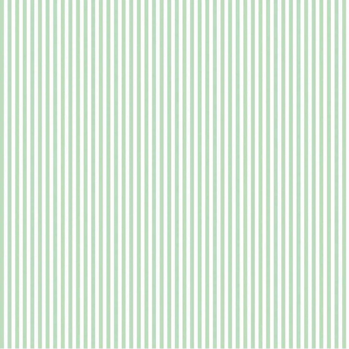 1/8” Stripe sweet mint | light green | Riley Blake Designs | C495 (1281)