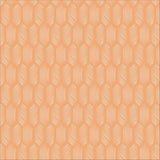 Organic Cotton Fabric, 'Buzz' from Tropical Garden by Sue Gibbins. Cloud9 Quilters Cotton Modern Organic Cotton, Cloud Nine (1150)