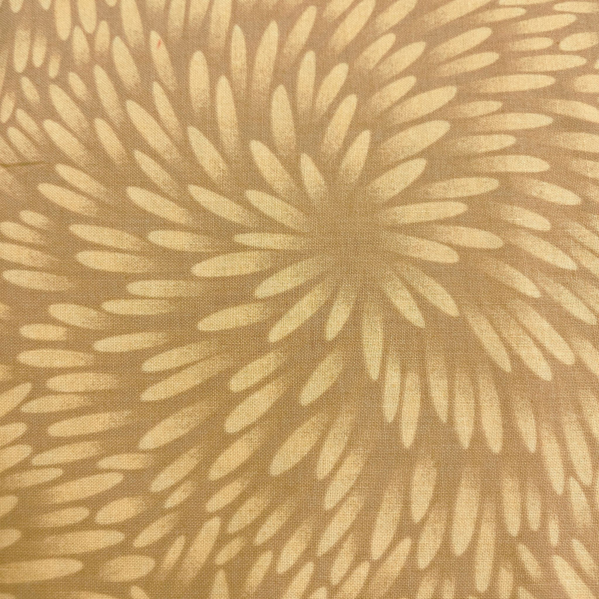 Kona Bay Fabrics EXPL-01