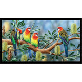 Wildlife Art 4 Australian Rosellas 24" DV3701 Panel