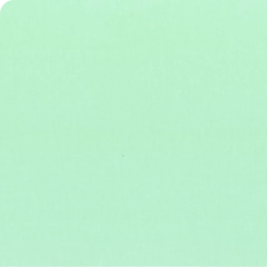 A solid mint green color swatch with a black ruler scale along the bottom edge.