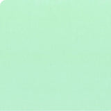A solid mint green color swatch with a black ruler scale along the bottom edge.