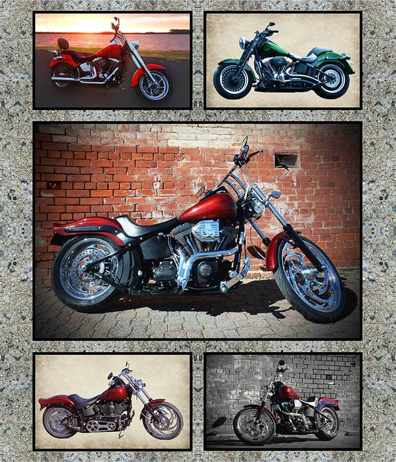 Burrangong Creek Motorbike  panel