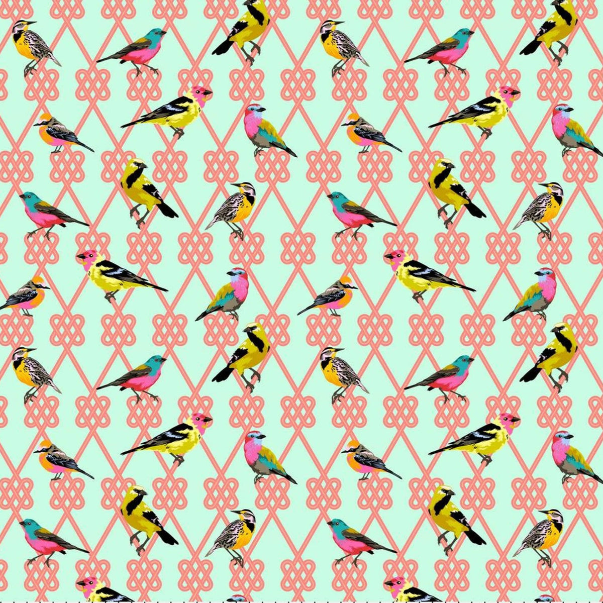 Tula Pink PWTP198 Moongarden In a Finch - Dawn
