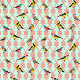 Tula Pink PWTP198 Moongarden In a Finch - Dawn