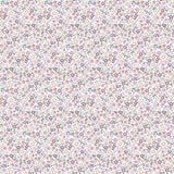 BUDS & BUTTERFLIES DAISY Delight White C15356 Cotton Fabric 100%