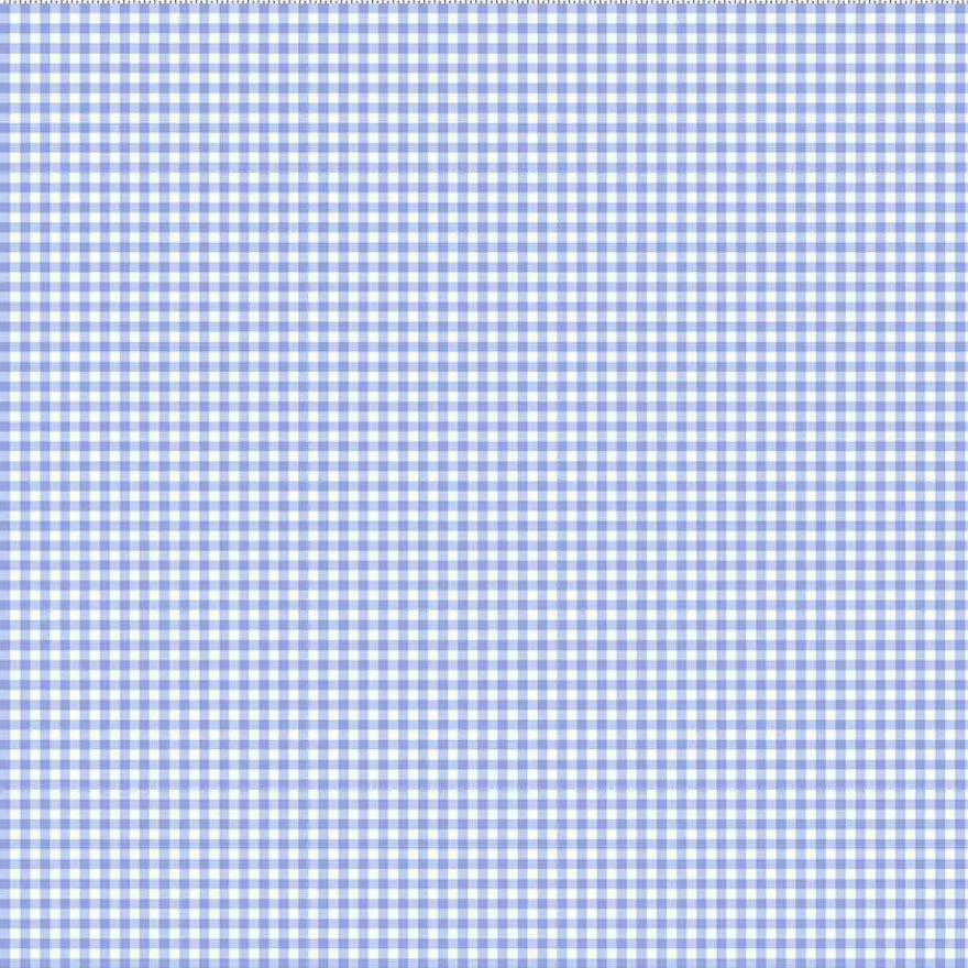 A close-up of a blue and white gingham checkered fabric pattern, with a ruler visible along the top edge for scale.