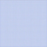 A close-up of a blue and white gingham checkered fabric pattern, with a ruler visible along the top edge for scale.
