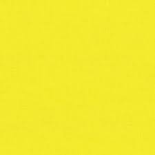 Michael Miller SC5333 CLTR-D 100% Cotton Fabric