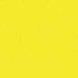 Michael Miller SC5333 CLTR-D 100% Cotton Fabric