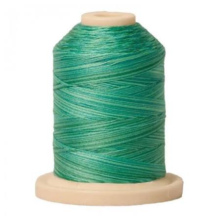 Signature Cotton Variegated Thread 40wt 700yd Aqua Waters SM083