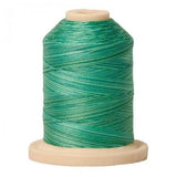 Signature Cotton Variegated Thread 40wt 700yd Aqua Waters SM083
