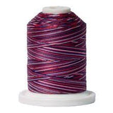 Signature 40 weight variegated. 100% cotton. STARS & STRIPES SN013