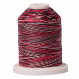 Signature Variegated 40 SN002 Holiday Cotton Machine Quilting Thread 700yd