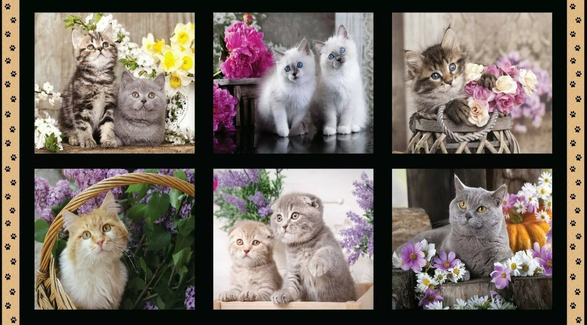 Cute Kittens - Cotton Fabric Panel