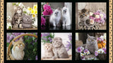 Cute Kittens - Cotton Fabric Panel
