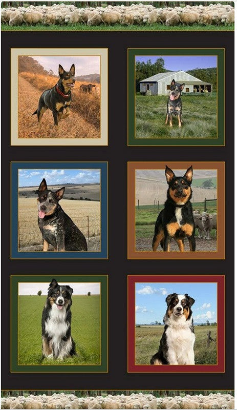 Merino Muster Dogs Panel