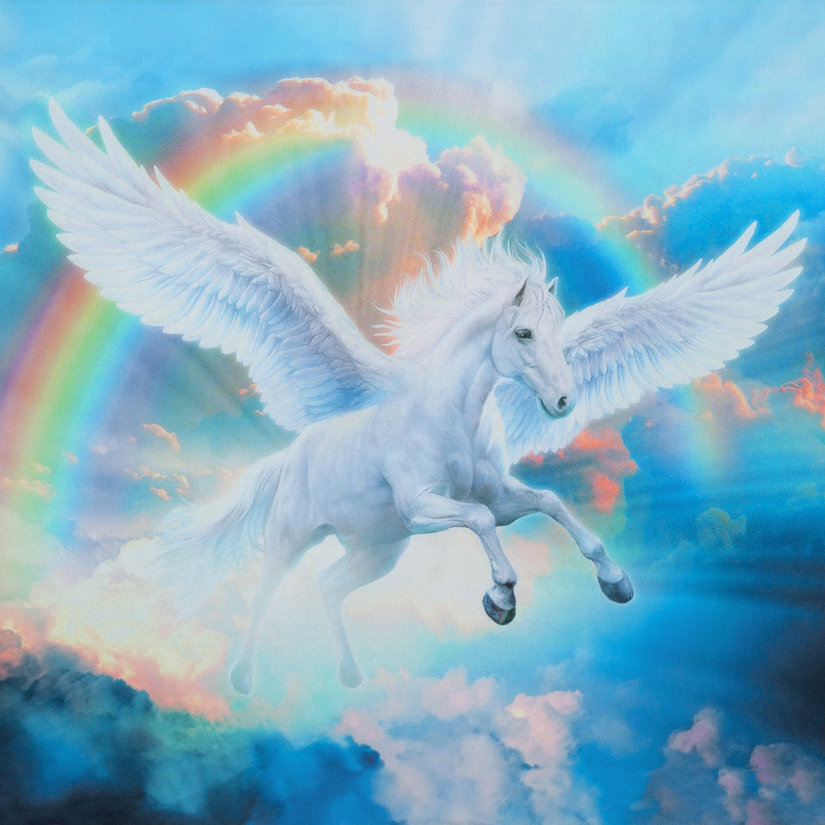 Rainbow Pegasus Digitally Printed Panel