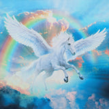 Rainbow Pegasus Digitally Printed Panel