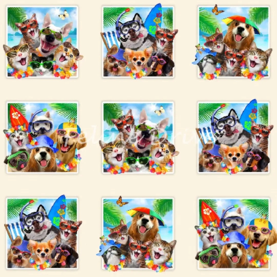 Cats & Dogs Snorkeling At The Beach Panel