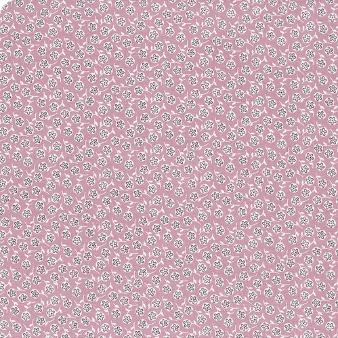 Prairie Taffy Wildflowers C12305-TAFFY1 00% Cotton Fabric WOF 110cm-112cm