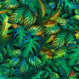 Forrest Jungle 2075 1/2 Metre x WOF
