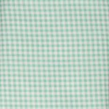 Small Lime Green Gingham