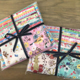 Whimsy Starter Kit